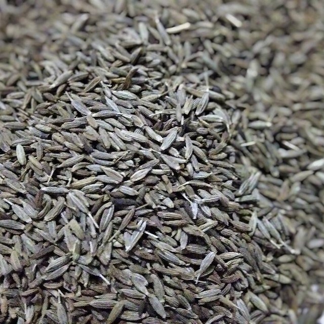 Cumin Seed for sowing